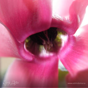 Фотография профиля