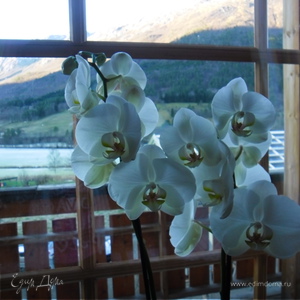 Фотография профиля