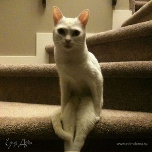 Фотография профиля