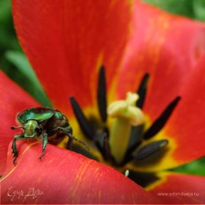 Фотография профиля