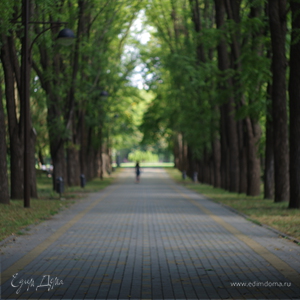 Фотография профиля