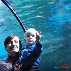 Фотография профиля