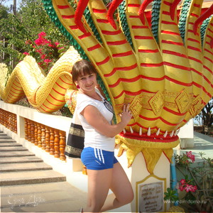 Фотография профиля