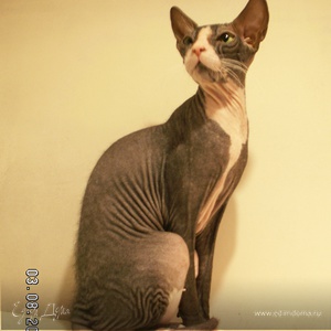 Фотография профиля