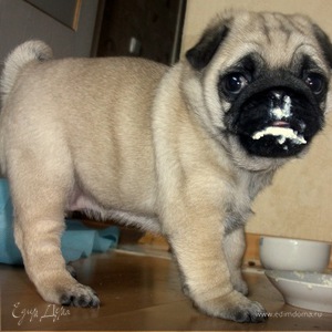 Фотография профиля