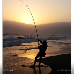 Фотография профиля