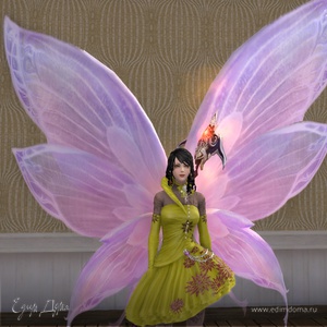 Фотография профиля