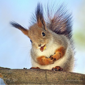 Фотография профиля