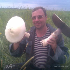 Фотография профиля