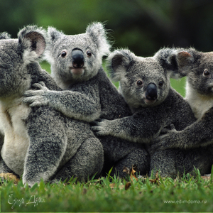 Фотография профиля