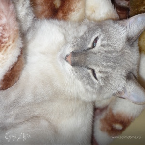 Фотография профиля