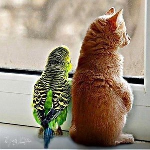 Фотография профиля