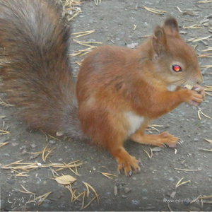 Фотография профиля