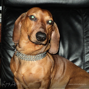 Фотография профиля