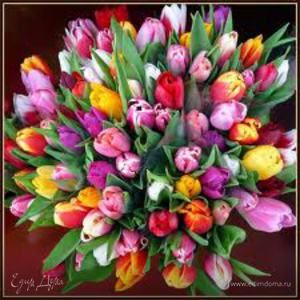 Фотография профиля