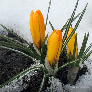 Фотография профиля