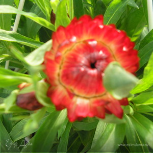 Фотография профиля