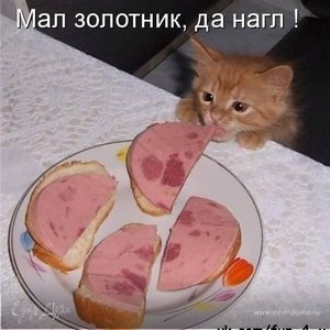 Фотография профиля