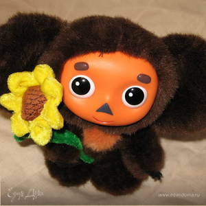 Фотография профиля