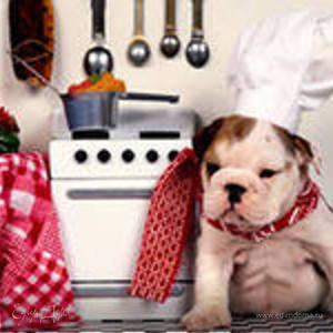 Фотография профиля