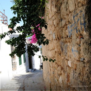 Фотография профиля