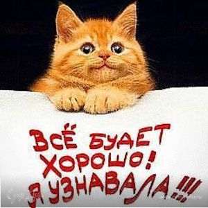 Фотография профиля