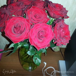 Фотография профиля