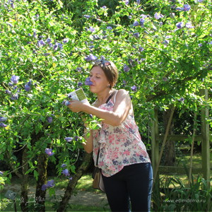 Фотография профиля