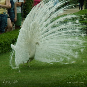 Фотография профиля