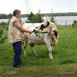 Фотография профиля