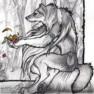 Фотография профиля