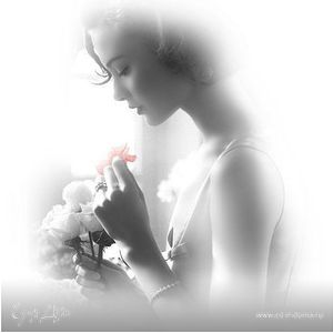 Фотография профиля