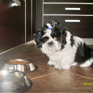 Фотография профиля