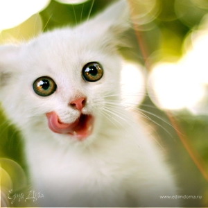 Фотография профиля