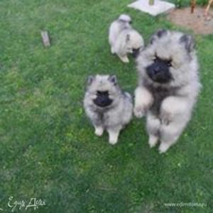 Фотография профиля