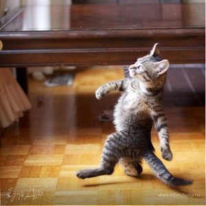 Фотография профиля