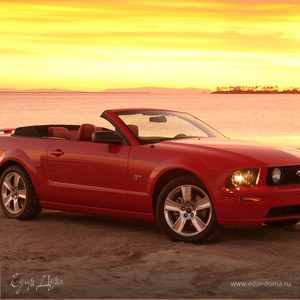 Фотография профиля