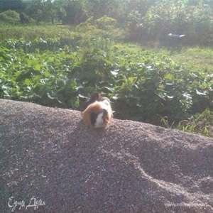 Фотография профиля