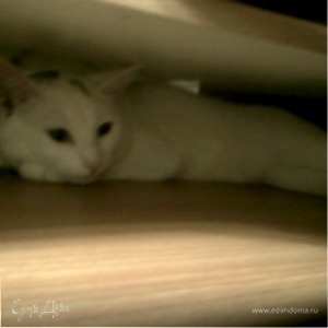 Фотография профиля