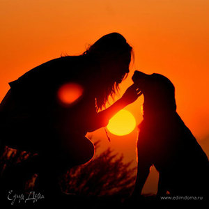 Фотография профиля