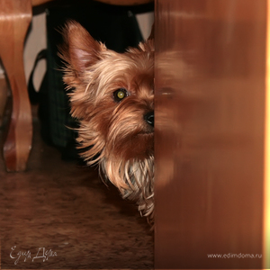 Фотография профиля