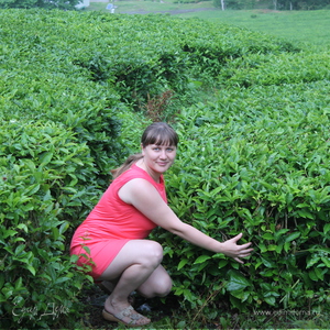 Фотография профиля