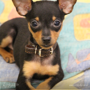 Фотография профиля