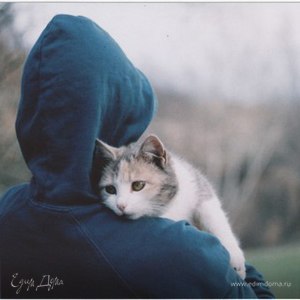 Фотография профиля