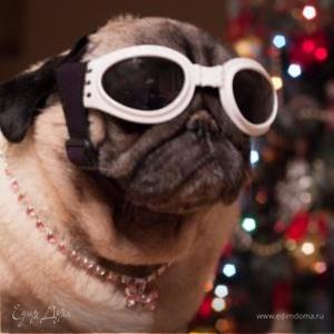 Фотография профиля