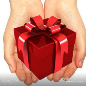 Фотография профиля