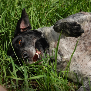 Фотография профиля