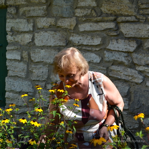 Фотография профиля