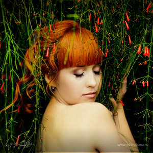 Фотография профиля