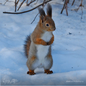 Фотография профиля